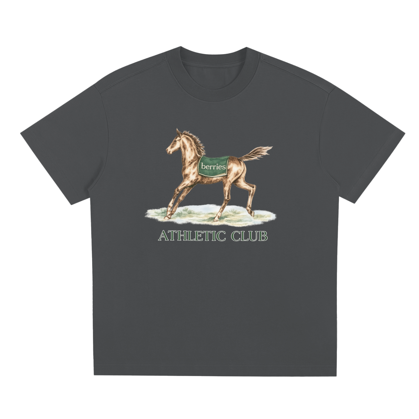 The trusty steed T