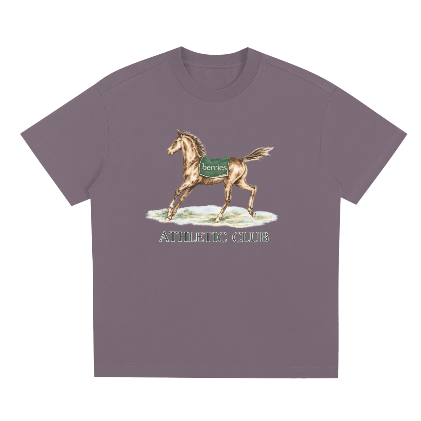 The trusty steed T