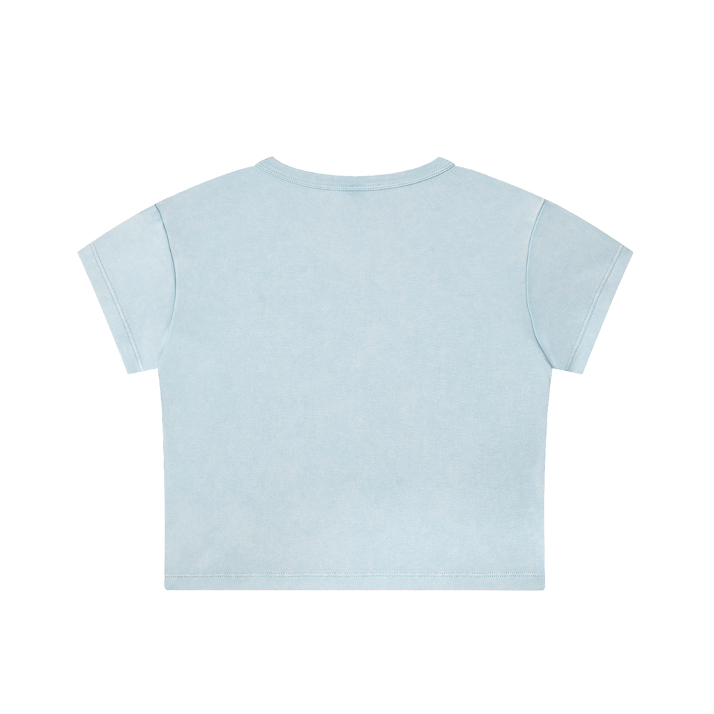 Berries athletics Washed Crop Top