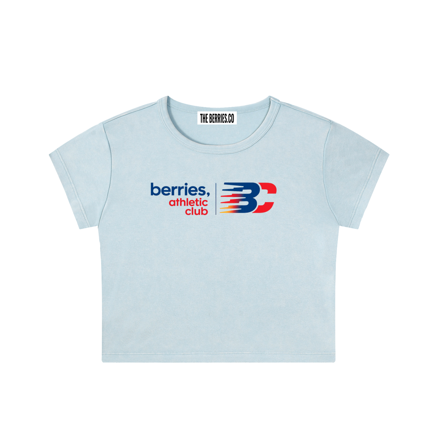Berries athletics Washed Crop Top